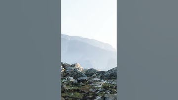 Lumion render video animation