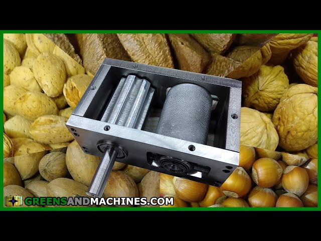 Cracking Almonds, Pecans, Hazelnuts, Brazil Nuts, and Walnuts | Grain Mill vs. Everybody class=