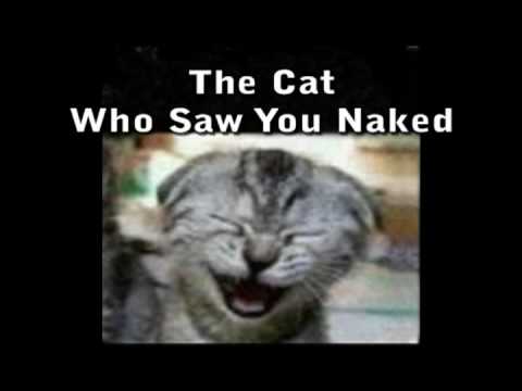 This Cat Saw You Naked 55