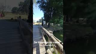 #motivacional #motivação #souforasteiro #souforasteiro #automobile #oração #tudonoseutempo #tempo