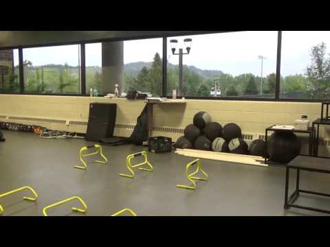 Linear Hurdle Hops   Stabilize