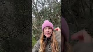 Adventure Time Get Outside, Appreciate Life And Have Fun