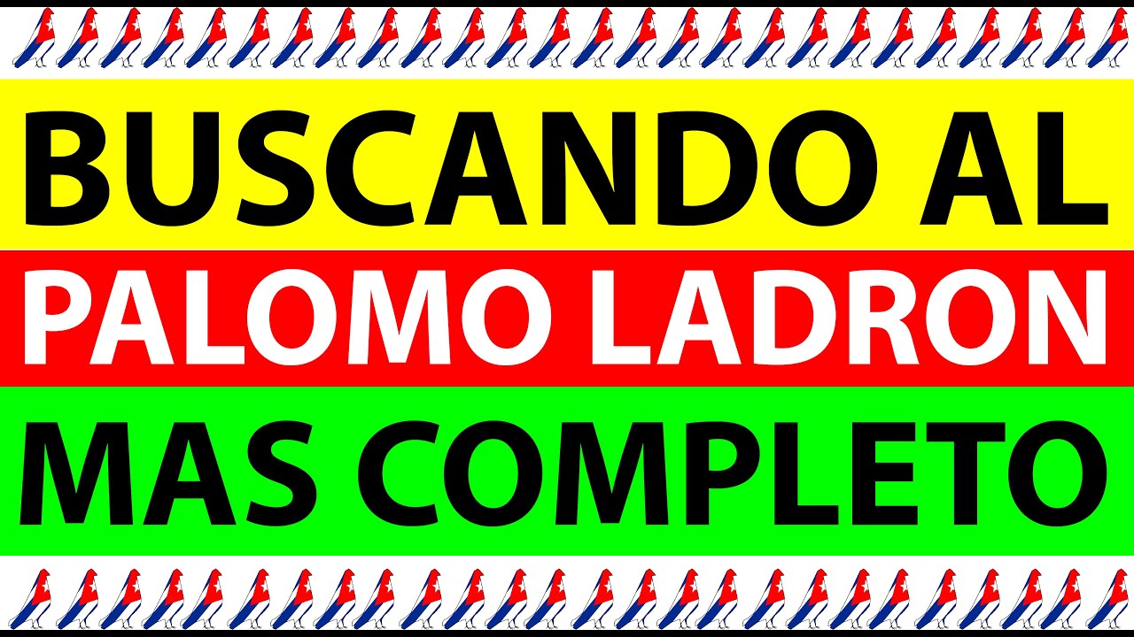 Buscando al Palomo Ladrón Más Completo. PREMIACION BPLMC de PLAYA 2023