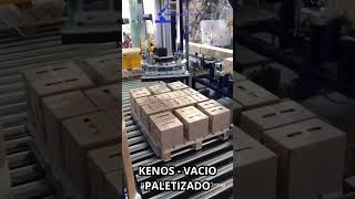 ✅Gantry   Gripper Kenos Vacio para Paletizado de cajas #automatizacion #automation 🦾