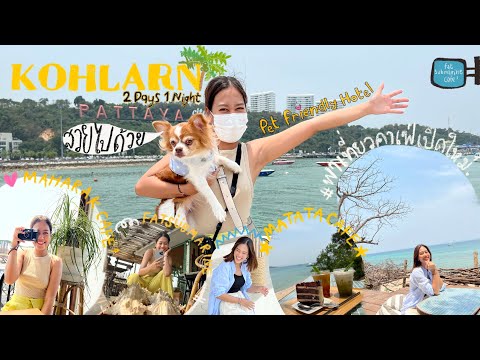 Koh Larn Vlog📍| เที่ยวเกาะล้าน 2วัน 1คืน ตะลุยคาเฟ่ ร้านนั่งชิล มีดนตรีสด 🎶และพิกัดที่พักราคาถูก‼️