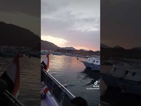 رحله نهريه باليخت ف شرم الشيخ