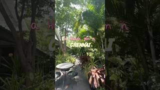 This Cafe in Chennai is a true hidden gem 🤩 Beautiful garden cafe Amethyst in Chennai