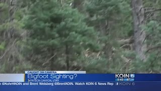 Bigfoot Sighting?
