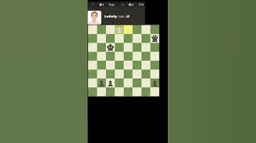 Chess.com Ludwig Bot Checkmate