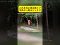 全ネット絶賛のドッキリ!?これで一発KO!?