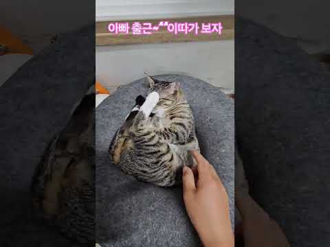 우리 딸 #햇살 #출근 #부산강서구 #구독 #좋아요 #감사합니다