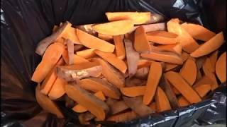 Sweet Potato Wedges