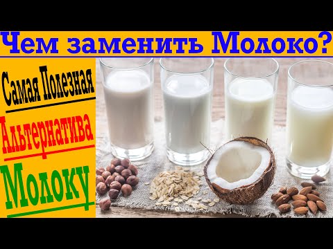Чем заменить Молоко? Самая полезная альтернатива коровьему молоку!