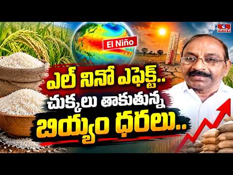 Business Plus : ఎల్ నినో ఎఫెక్ట్..చుక్కలు తాకుతున్న బియ్యం ధరలు..|Satyanarayana About Rice Price