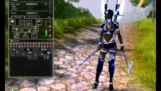 Sacred 2 Fallen Angel Seraphim Full Special Armor Set Sopor Aethernis