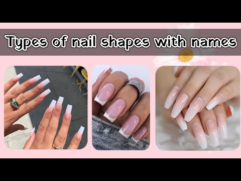 how to create any shape on any type of nail | Nail Experts University