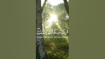قران كريم ارح قلبك وسمعك #quran #قران #راحة_نفسية #اكسبلور #duet #ترند #دويتو #تيك_توك #رعد_الكردي