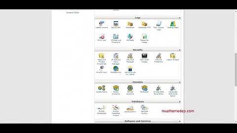 Hướng dẫn cài theme để có website giống demo Muathemedep com