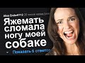 ЯЖЕМАТЬ СЛОМАЛА НОГУ МОЕЙ СОБАКЕ. ЯЖЕМАТЬ ИСТОРИИ.