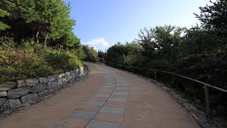 Canon RF15-35L 2 ISON+DISOFF 371A4171