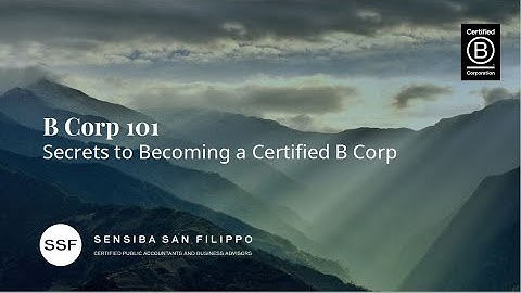 B Corp Certification 101 - Everything You Need to Know