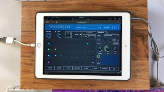 WoodStepper AUv3 Sequencer - Live Stream Demo for the iPad