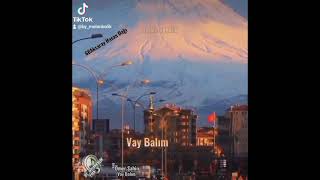 Ömer Şahin - Vay Balım (68 Aksaray Hasan Dağı)
