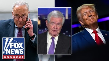 Gingrich shares evidence of Dems