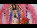 EL SANTO ROSARIO DE HOY 05 DE MARZO 🙏 MISTERIOS LUMINOSOS 🙏 está en vivo