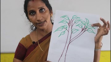 Std 7 BASIC  SCIENCE Unit 1 Class 03 WhiteBoard VI