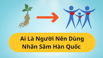 Ai Là Người Nên Dùng Nhân Sâm Hàn Quốc? - Thi Đặng - ANaNa Nhân Sâm Korea