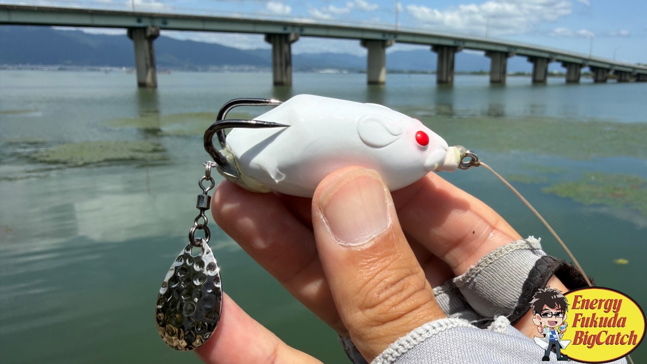 【琵琶湖バス釣り】フロッグ投げつつ雑談してたらバイト！！