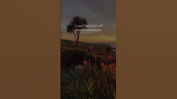 سبحان الله وبحمده🌿،_____ #اكسبلور #explore #short #المنشاوي #ياسر_الدوسري #حالات_واتس #قرآن #تلاوات