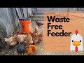 Build a Waste Free Chicken Feeder
