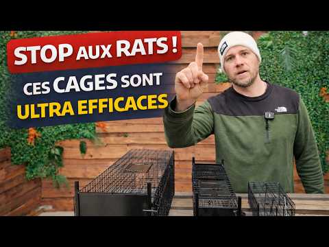Vidéo — Cage piège à rats multi-capture professionnelle (55×55×10,5 cm)