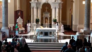 Eleventh Sunday in Ordinary Time | Cathedral of the Immaculate Conception | Wichita, KS