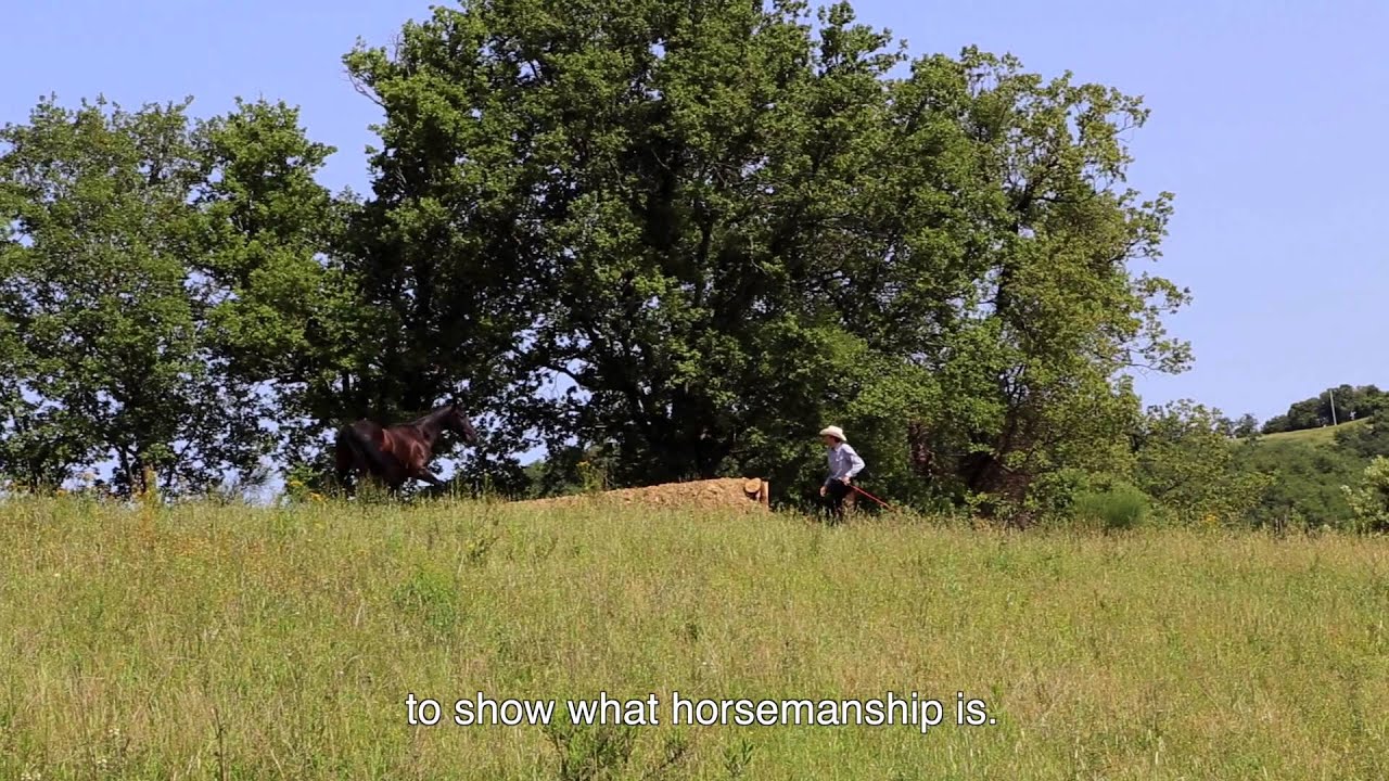 Radicondoli armonie fra uomini e natura