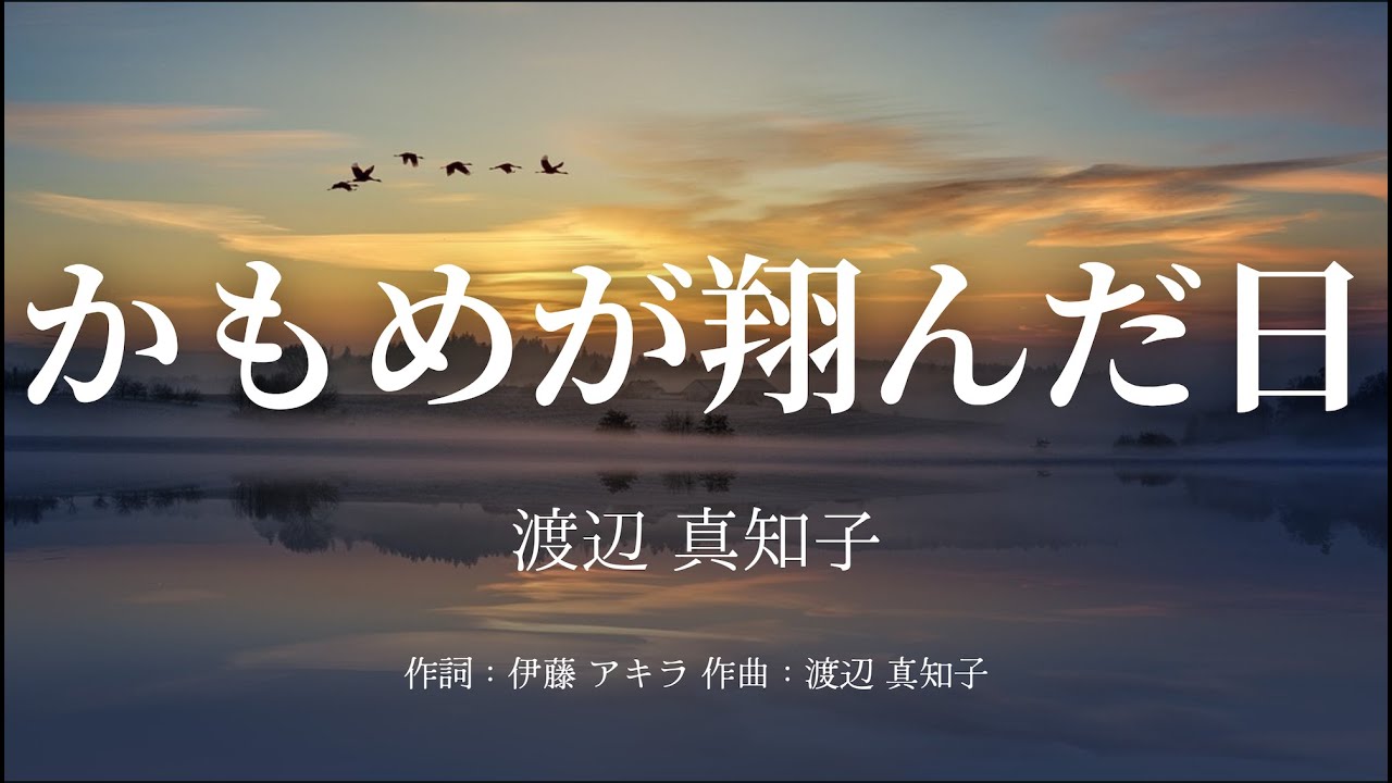 【カラオケ】かもめが翔んだ日／渡辺 真知子【オフボーカル メロディ有り karaoke】