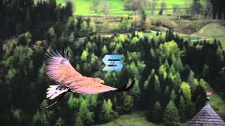 hardwell birds fly remix 9