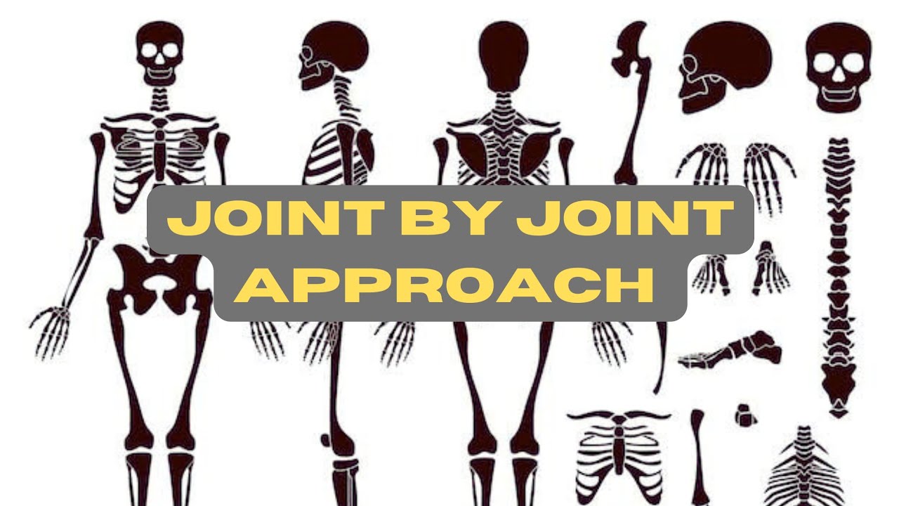 Lift heavy, run far and live longer with the joint by joint approach | Outlaw Lift