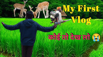 My First Vlog ♥️||my first vlog on youtube||my first vlog viral