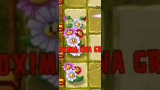 Florecitas Aturdidoras