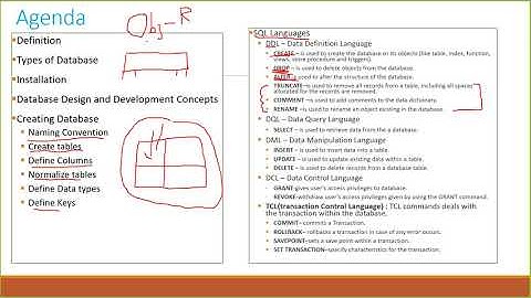 Part 16 SQL Server in Amharic Crash Course DDL and DML