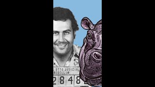 Pablo Escobar's Hippo attacks are on the rise #shorts