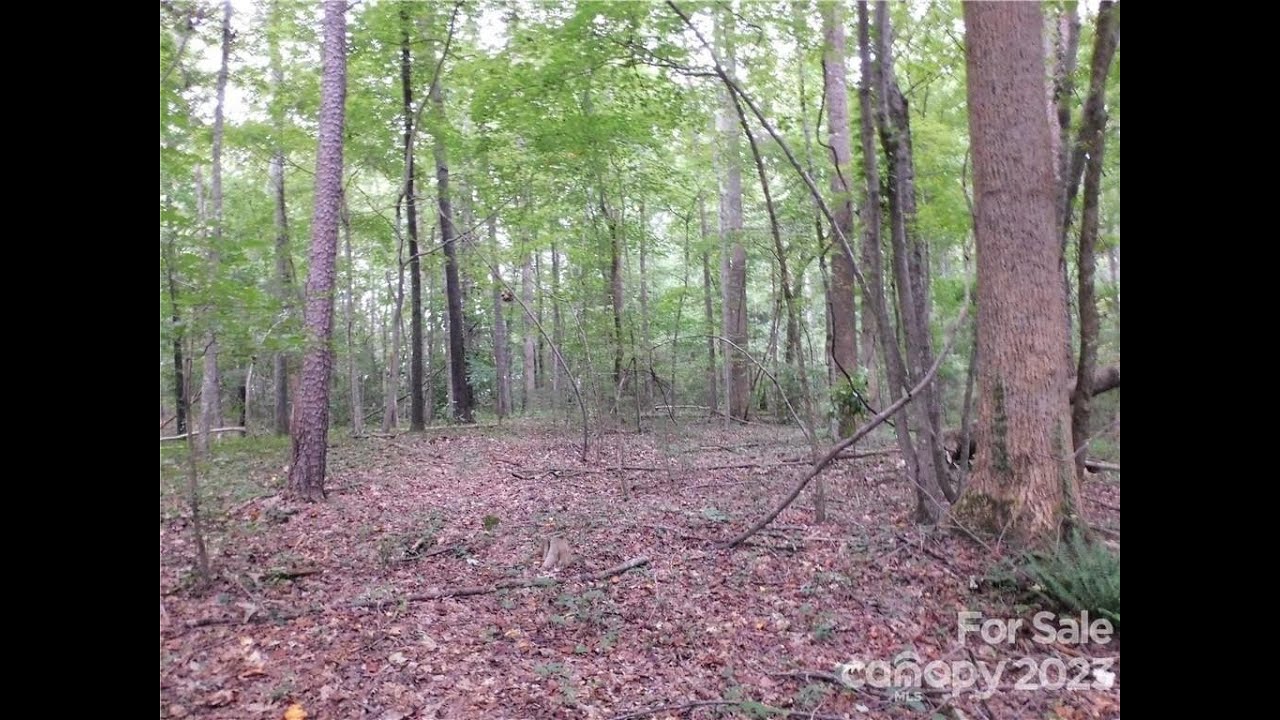 Old Friendship Rd, Rock Hill, SC 29731 Tracy Ferguson MLS 4004588