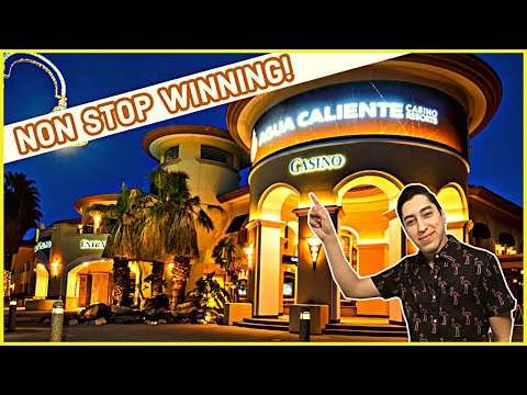 TREASURES OF ODIN | How to collect the Daily Login Bonus at Tao Fortune Casino