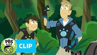 WILD KRATTS | Rainforest Adventure | PBS KIDS