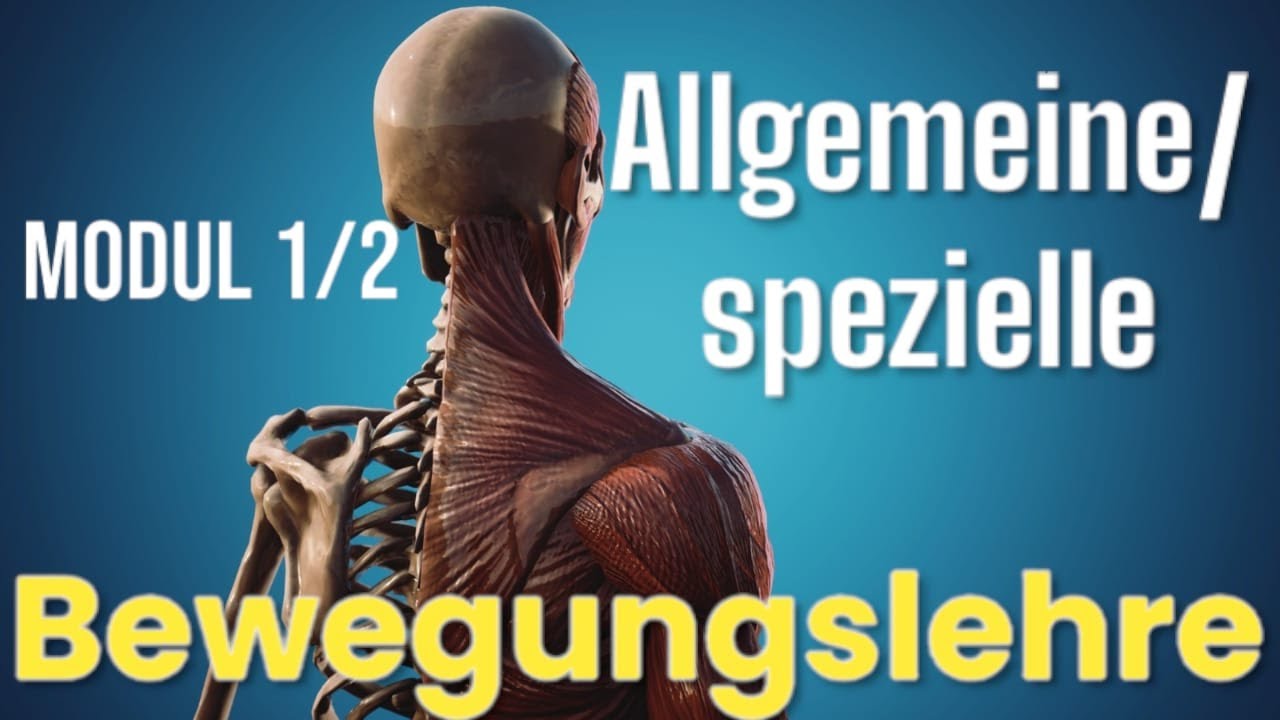 ANATOMIE. MODUL 1/2 ALLGEMEINE/ SPEZIELLE BEWEGUNGSLEHRE - YouTube