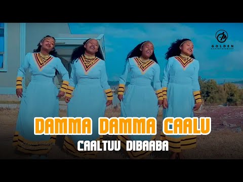 Caaltuu Dibaaba   Damma Damma Caalu   Ethiopian Oromo Music 2021 Official Video