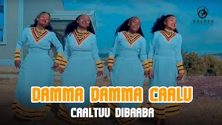 Caaltuu Dibaaba - Damma Damma Caalu - Ethiopian Oromo Music 2021 [ Video]